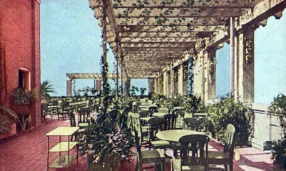 Roof garden