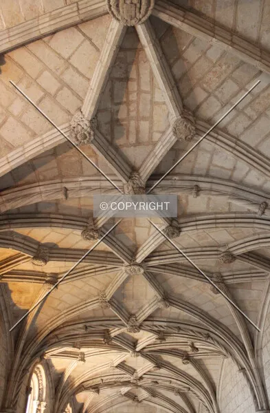Photo 664-995-913
