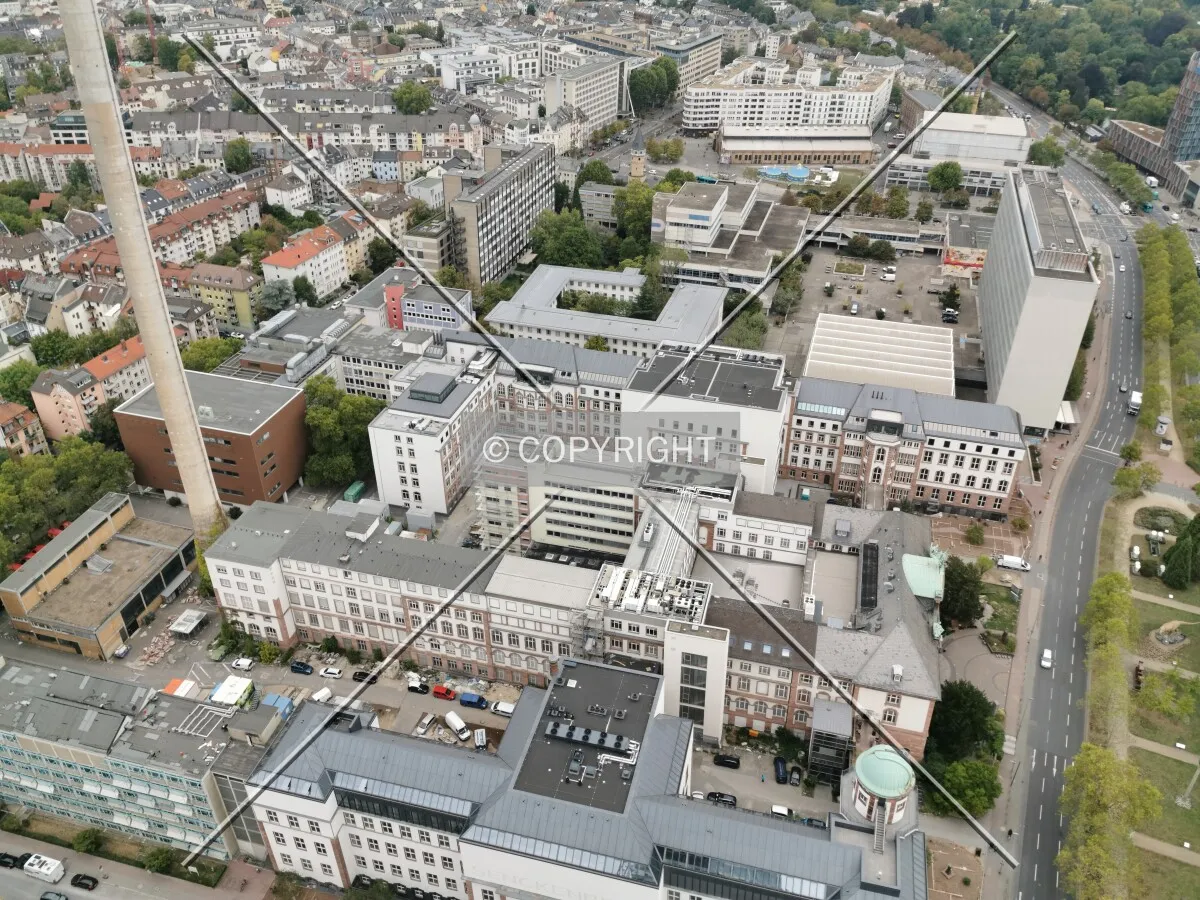 Senckenberg Museum