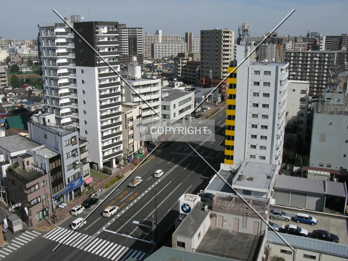 Photo 665-263-334