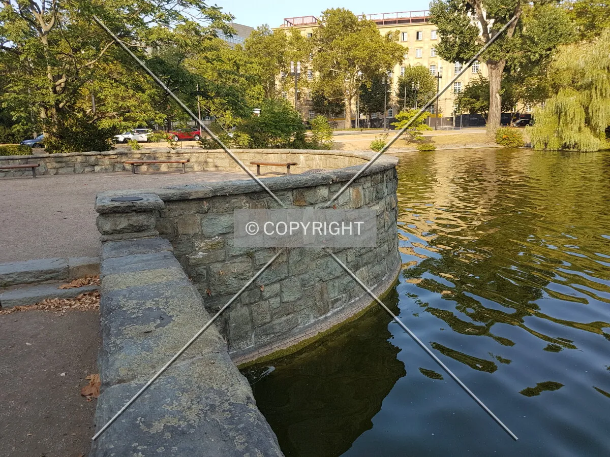 Photo 665-455-486