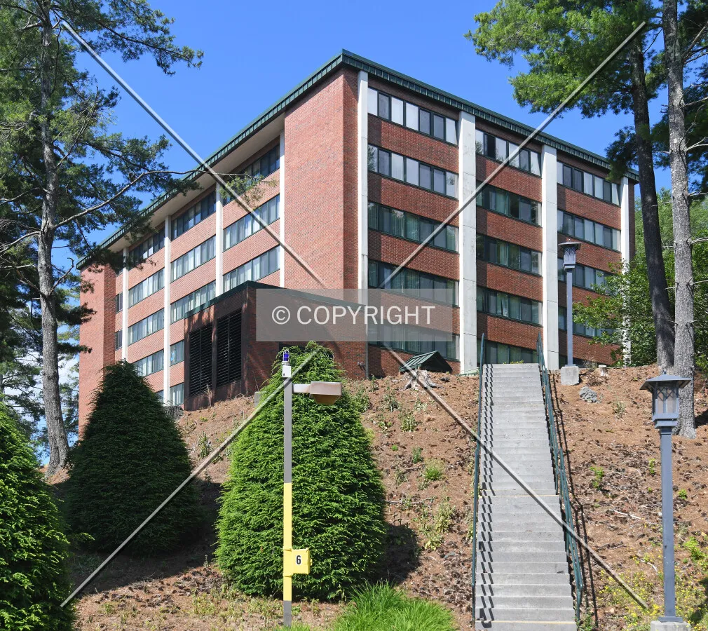 View from the northeast