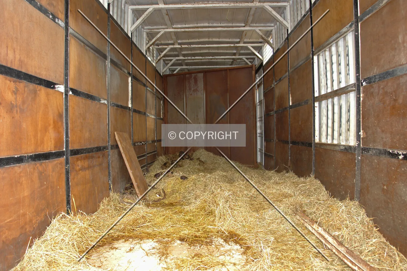 A view into a circus trailer for animals: where mammals live while travelling