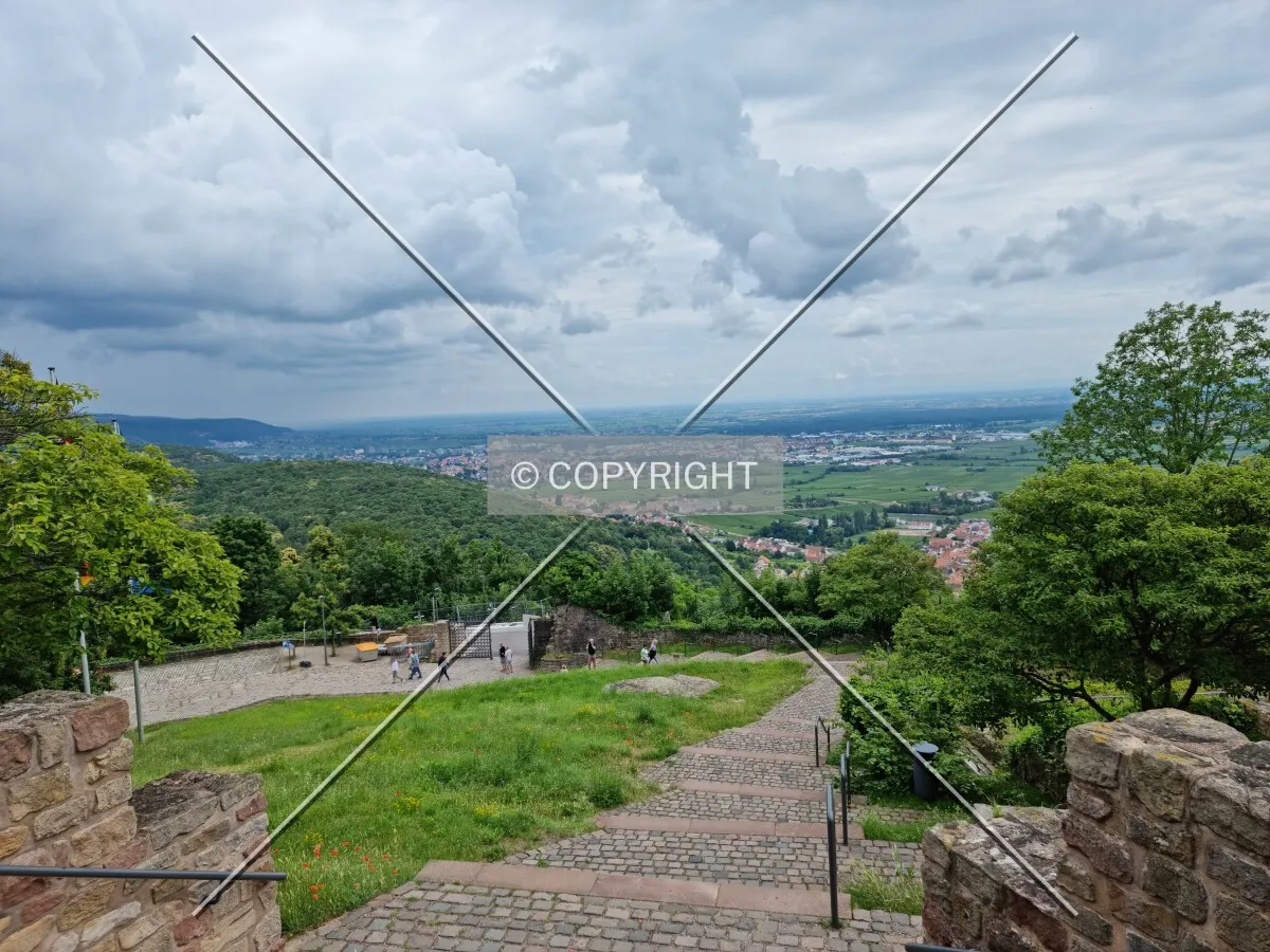 Photo 666-394-412