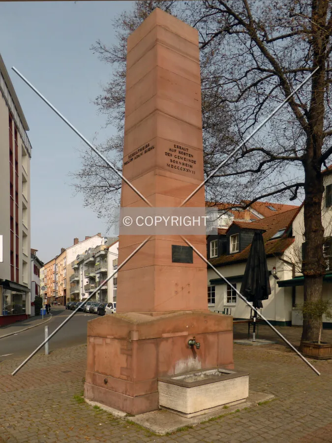 Photo 666-433-569