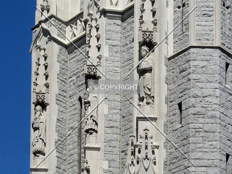 Photo 066-646-245
