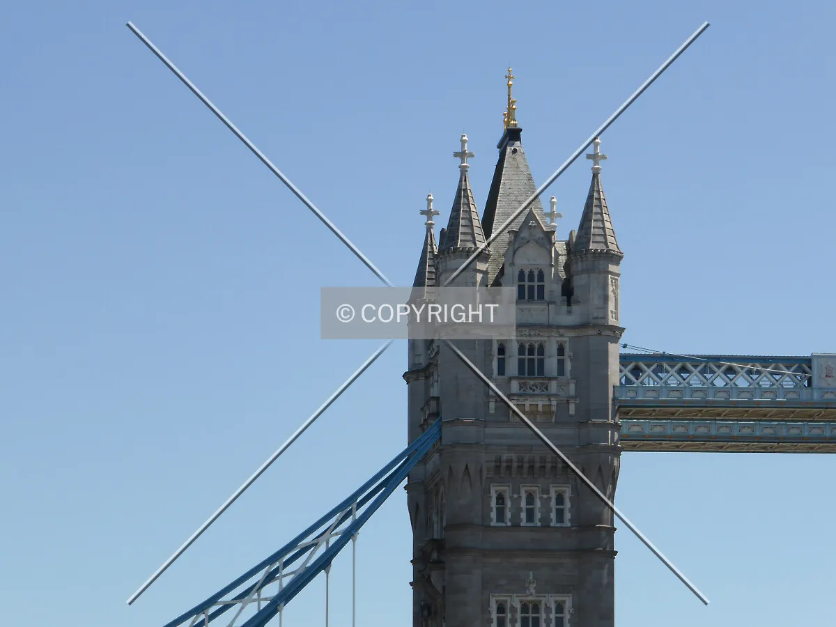 Photo 667-077-732