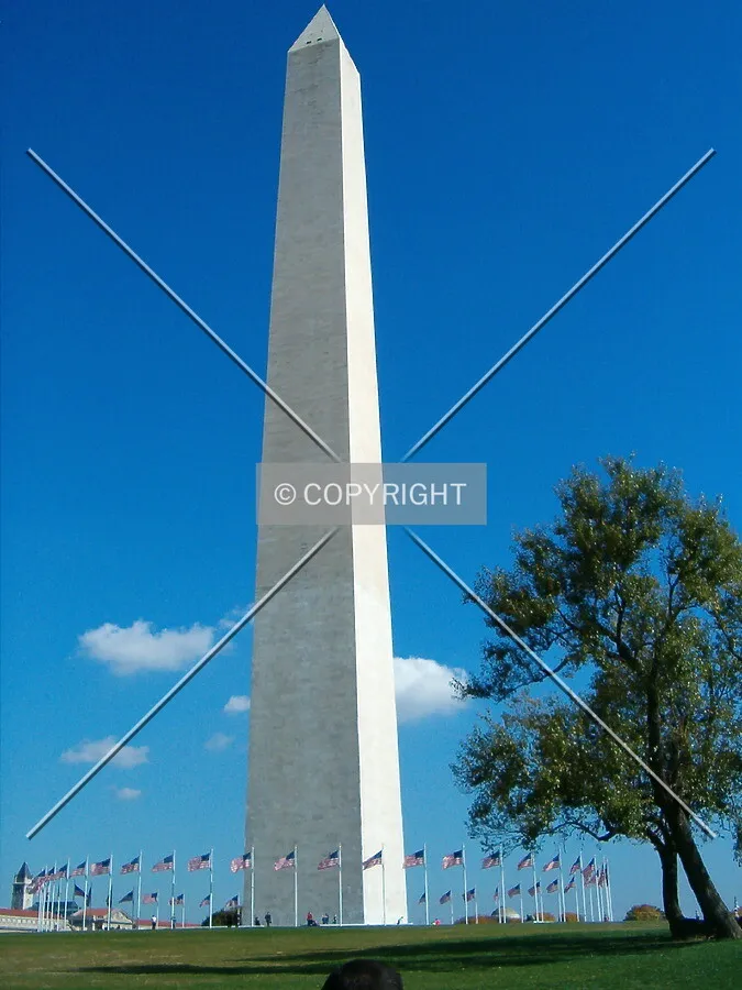 View from the west of the National Mall