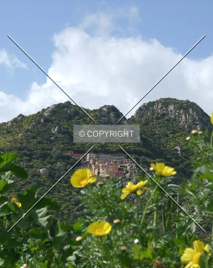 Photo 667-280-007