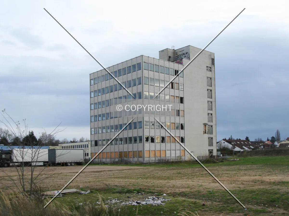 Photo 667-291-237