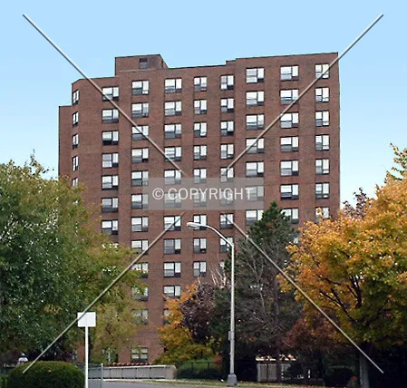 View from the northeast