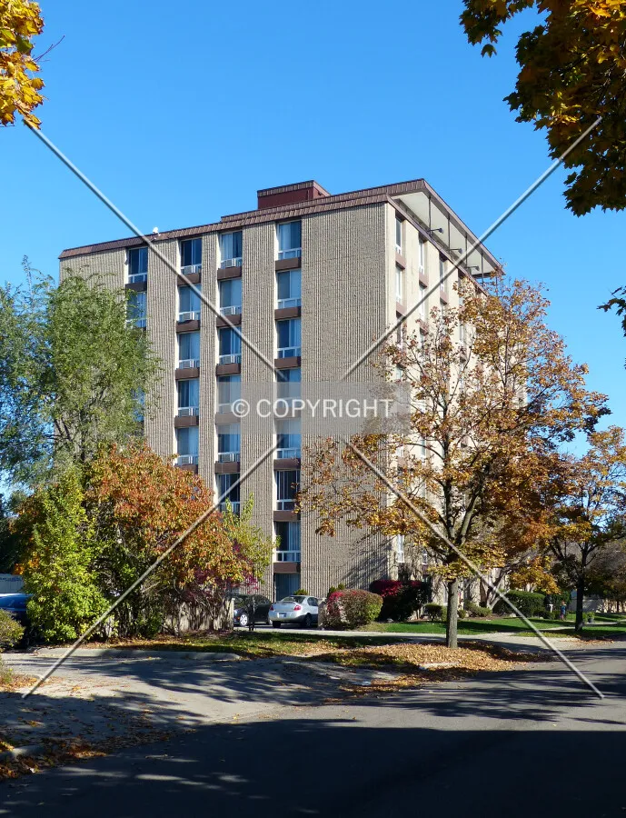 Photo 667-532-445