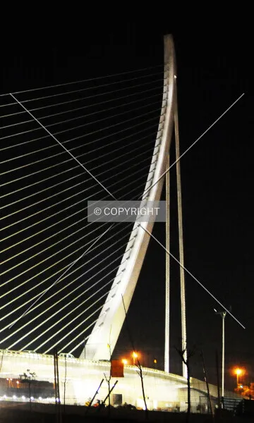 Photo 667-567-675