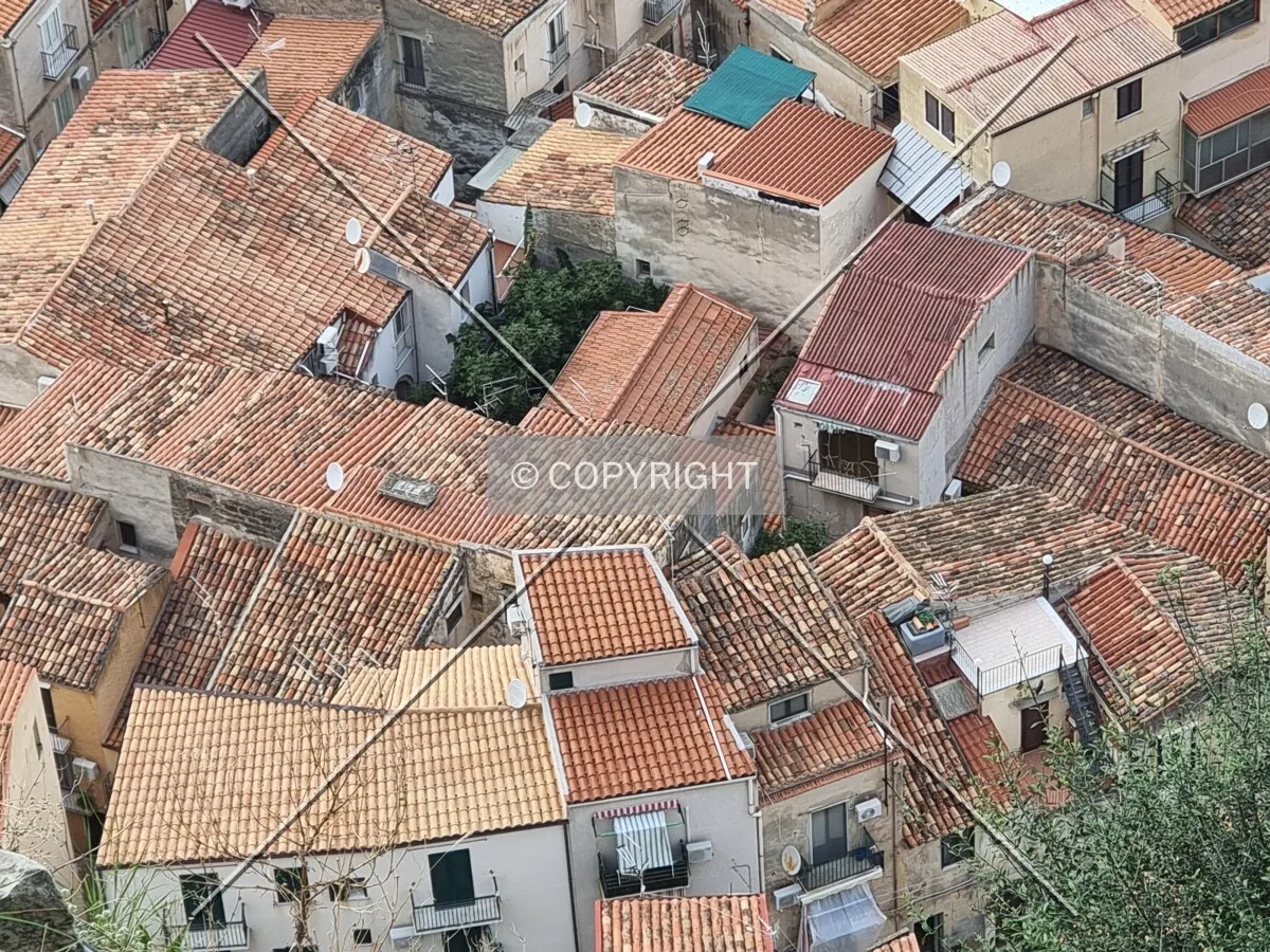 Photo 667-994-695
