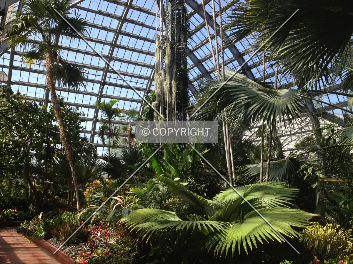 Photo 668-206-978