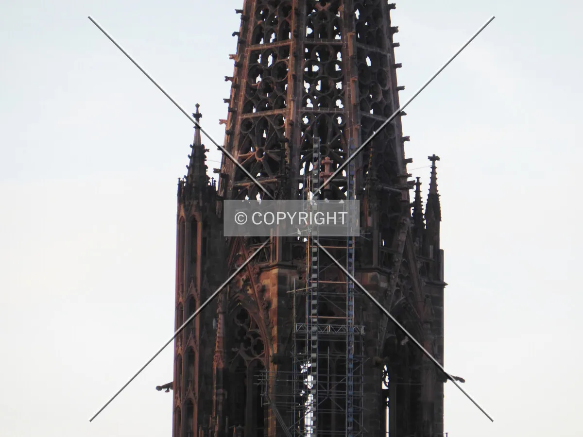Photo 668-738-371