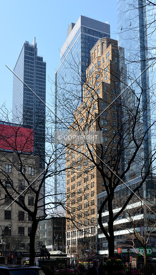 View from the northeast