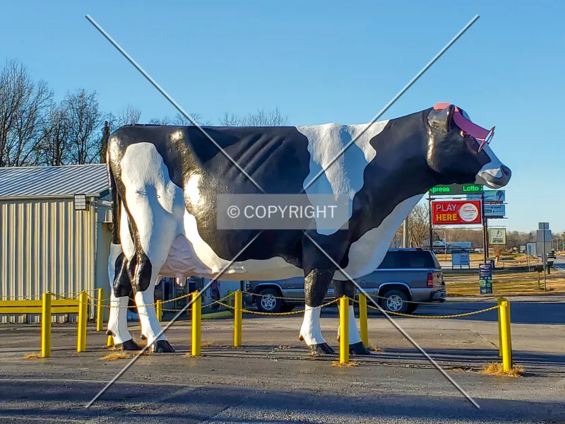 Photo 066-943-953