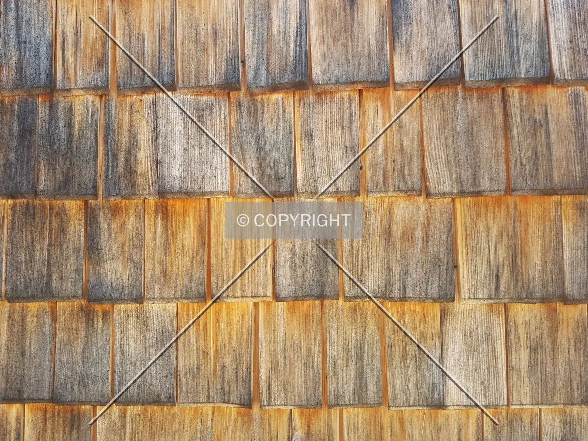 Photo 670-967-280