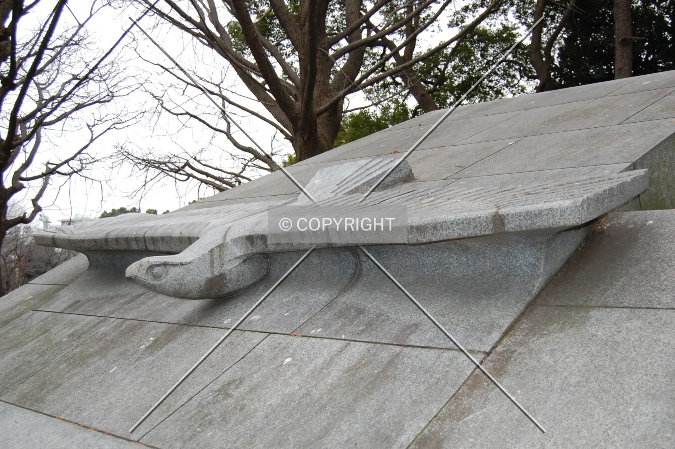 Photo 671-017-532
