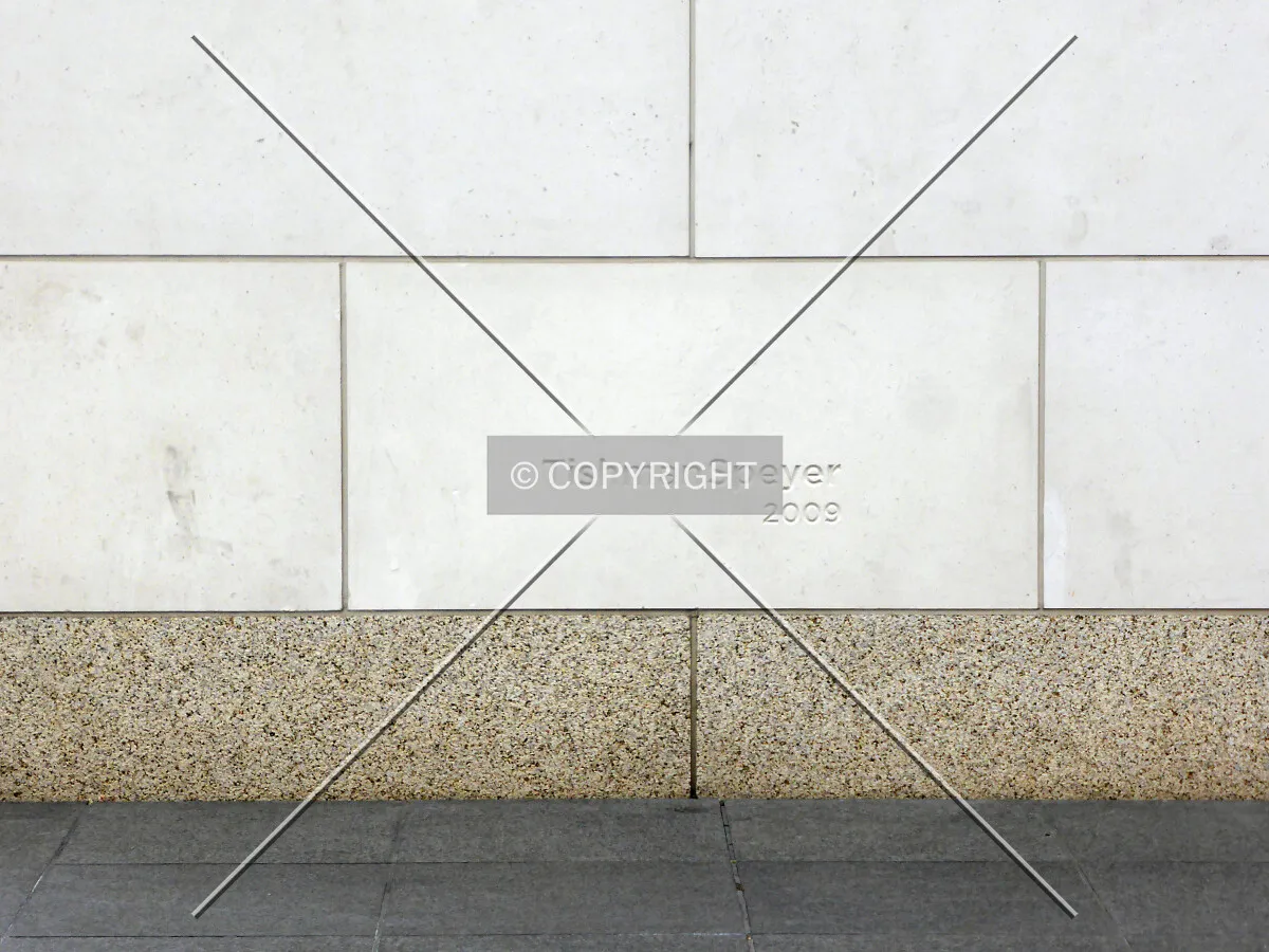 TishmanSpeyer 2009 - facade element