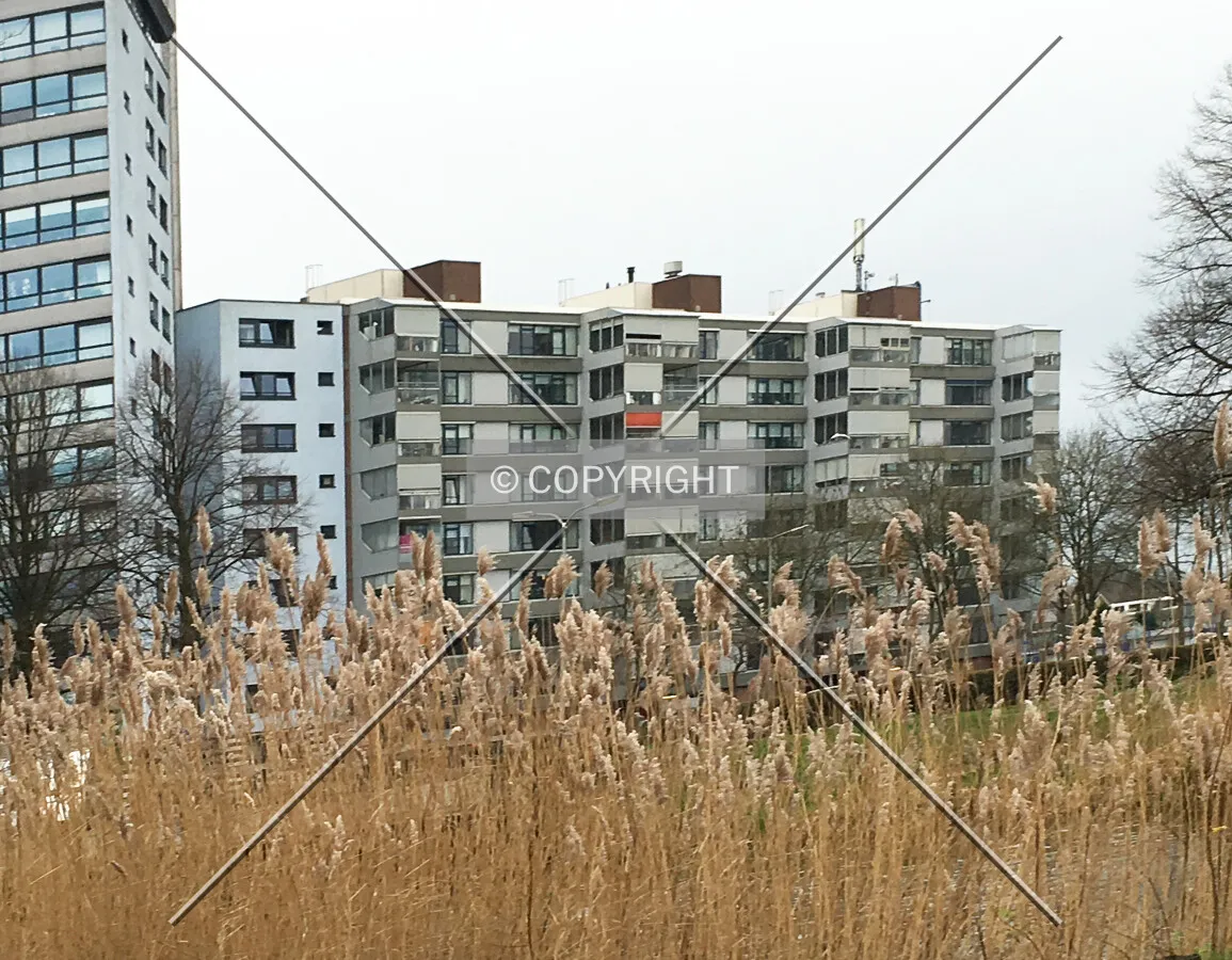 Photo 671-201-594