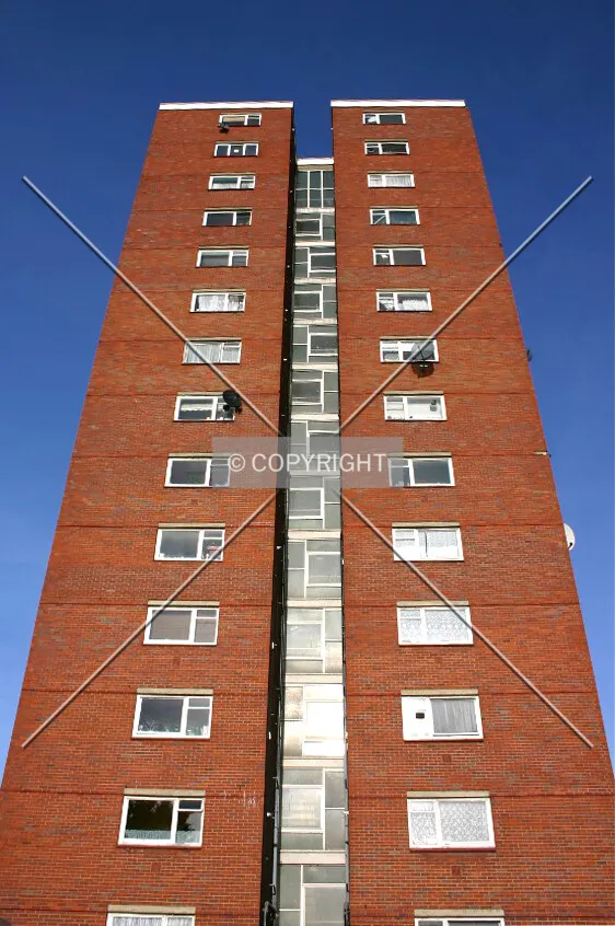 Looking up from the estate
