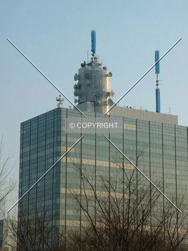 Crown and antenna