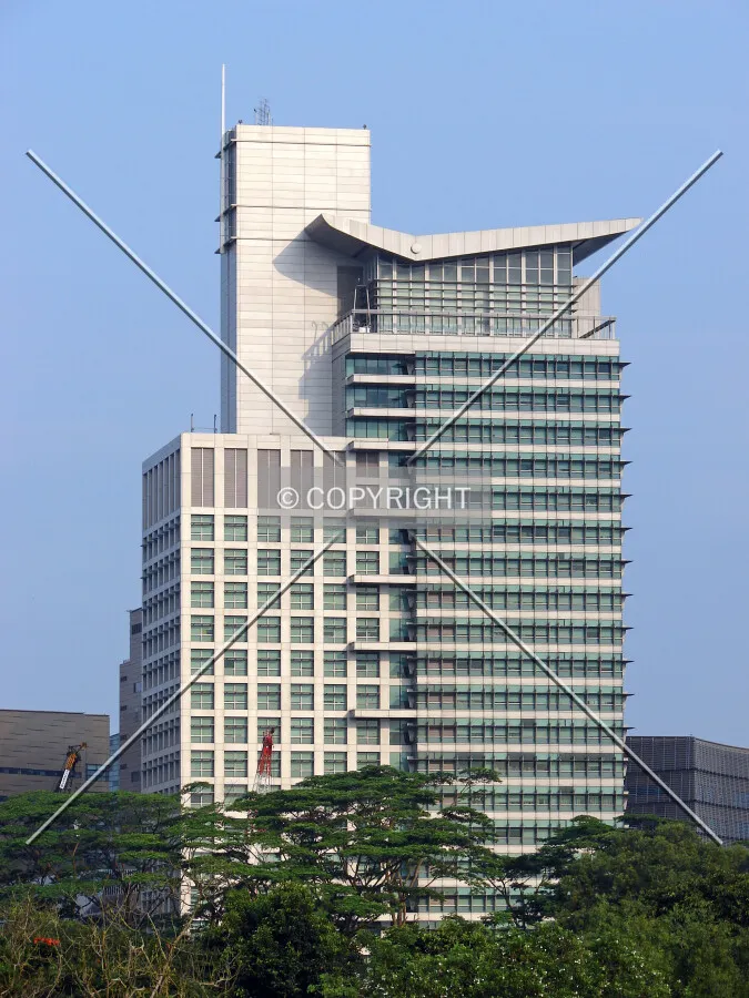 View from the northwest