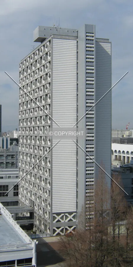 View from the east