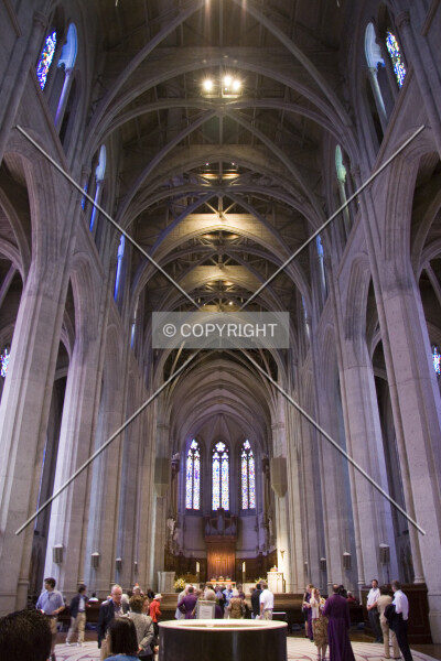 Photo 672-119-431
