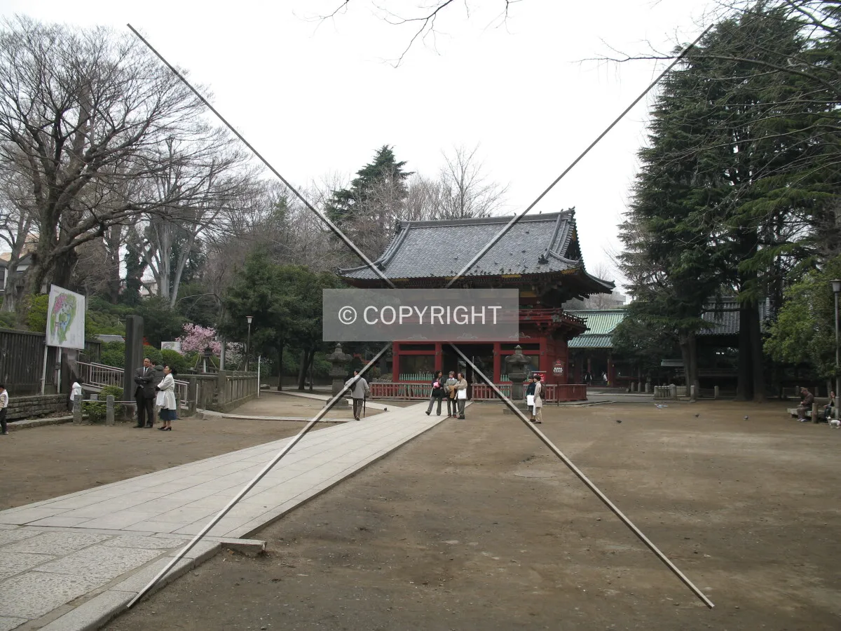 Photo 067-261-097