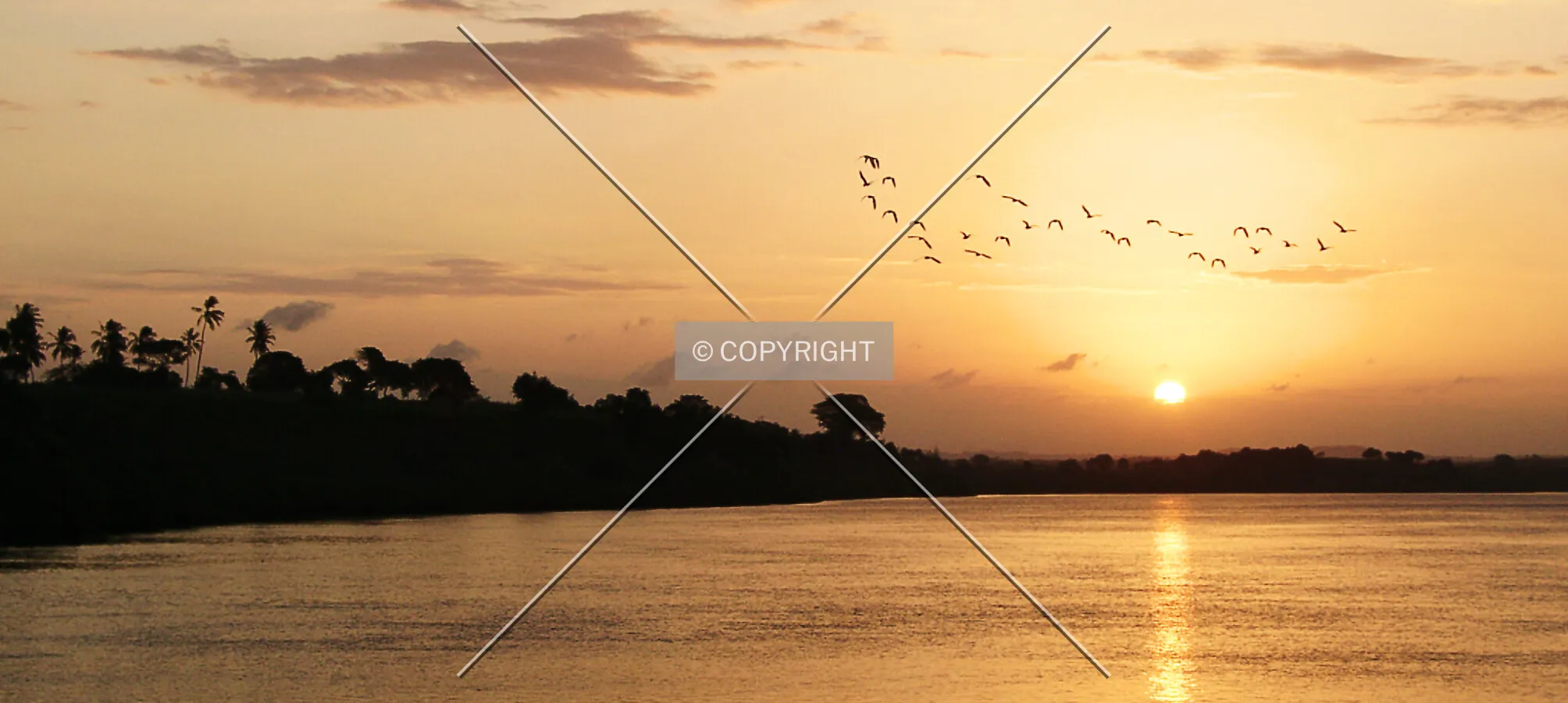 Photo 673-214-869