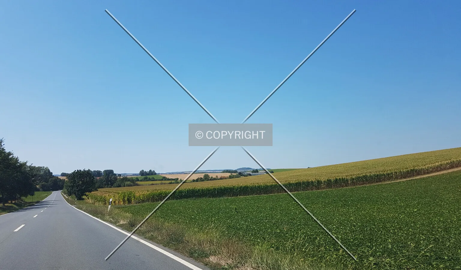 Photo 673-279-684