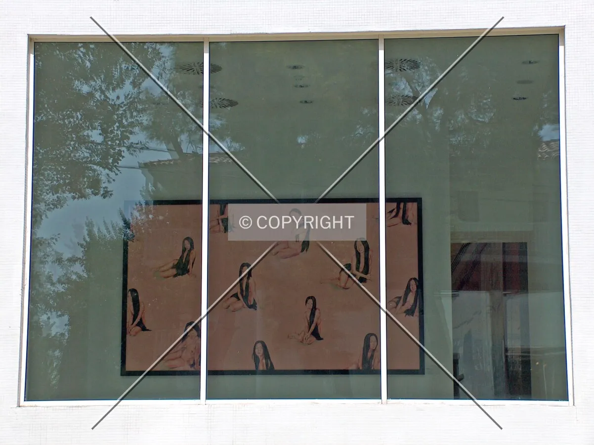 View of a piece of art in the hotel through a window