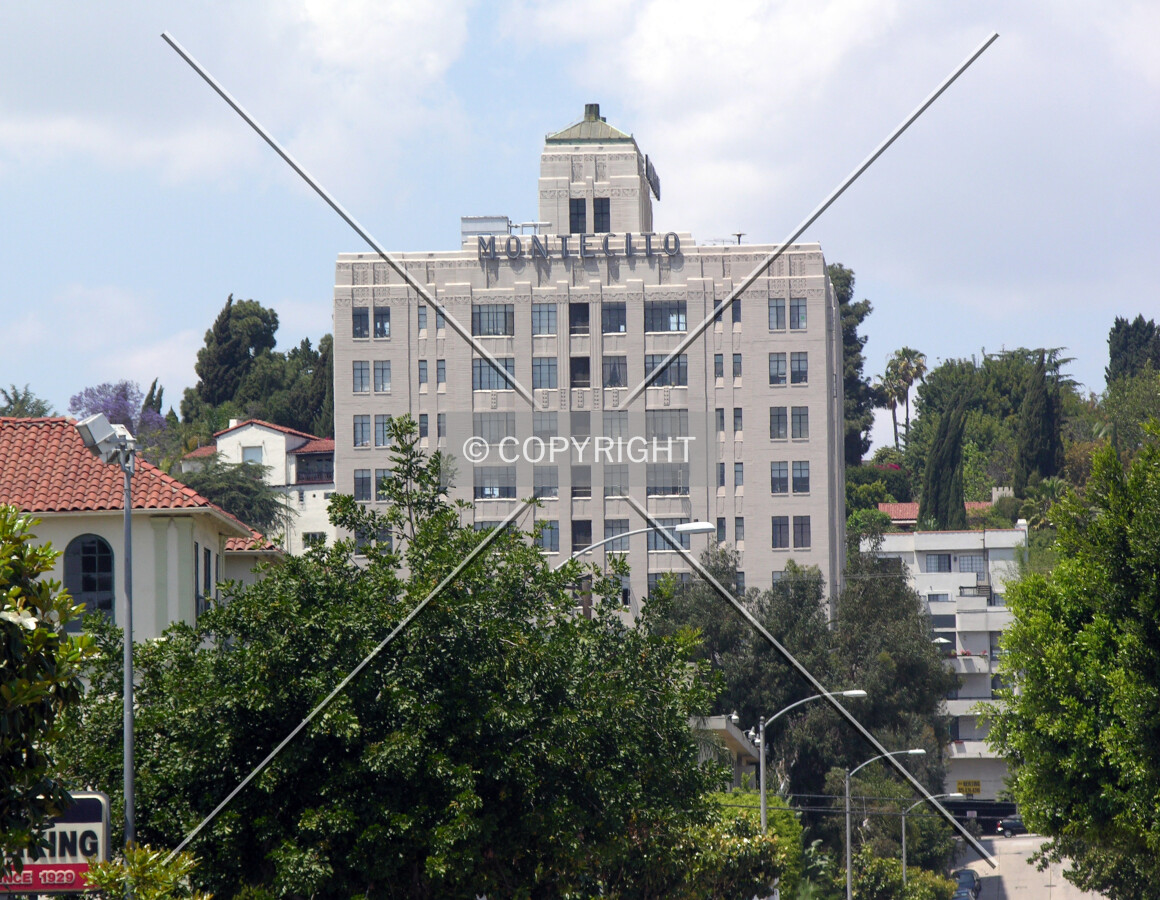 Looking north from Hollywood Boulevard