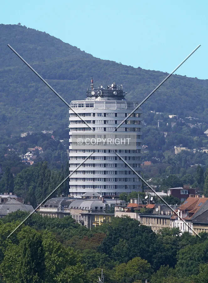 View from the south