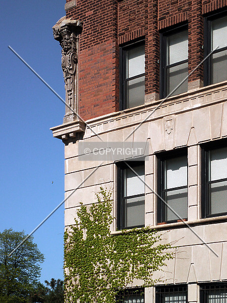Photo 674-802-281
