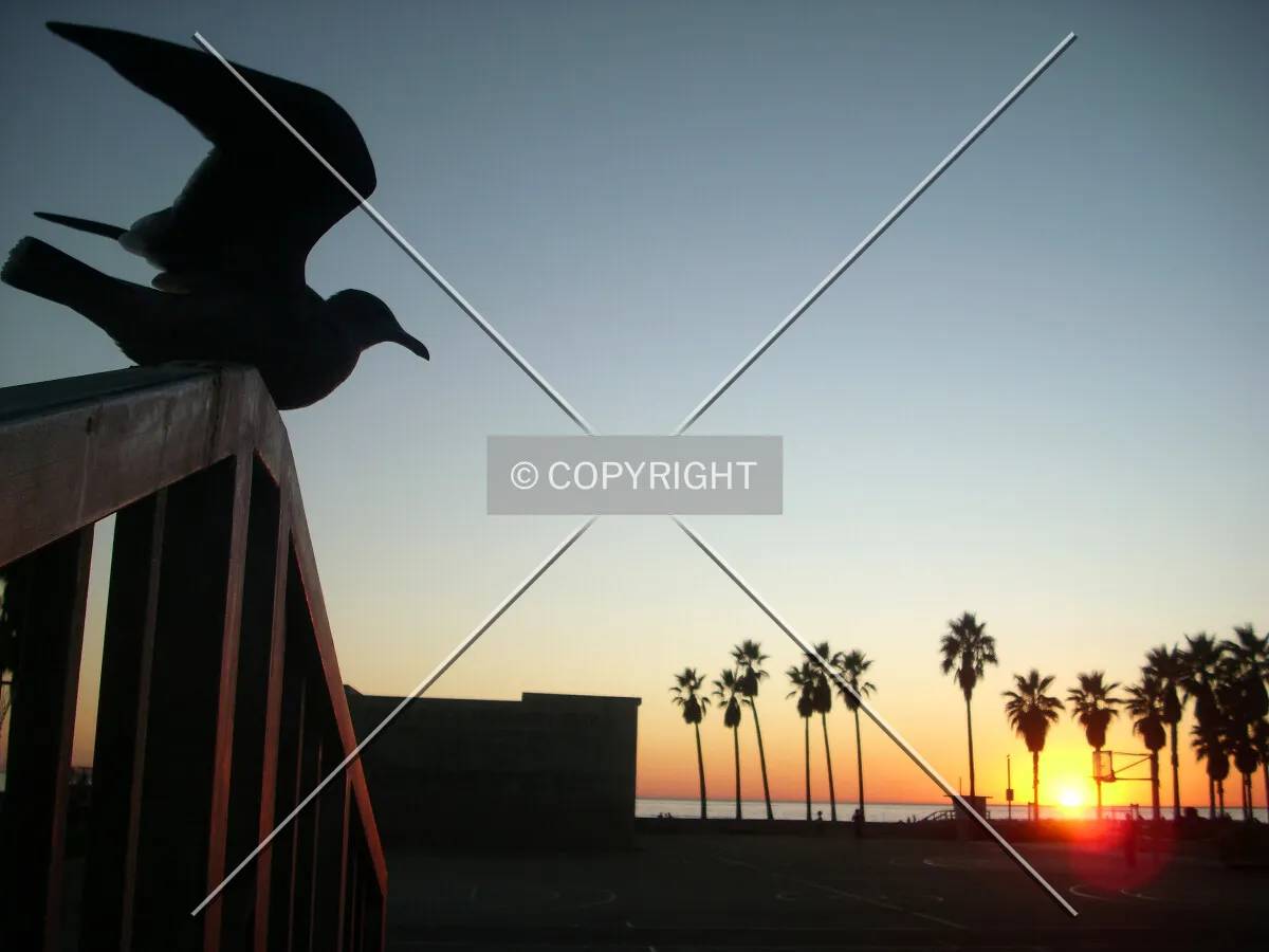 Photo 675-291-865