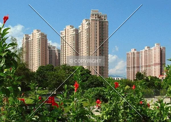 From So Kwun Wat Road