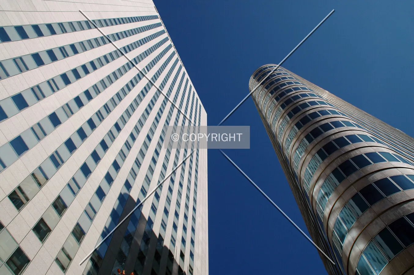 Looking up at the towers