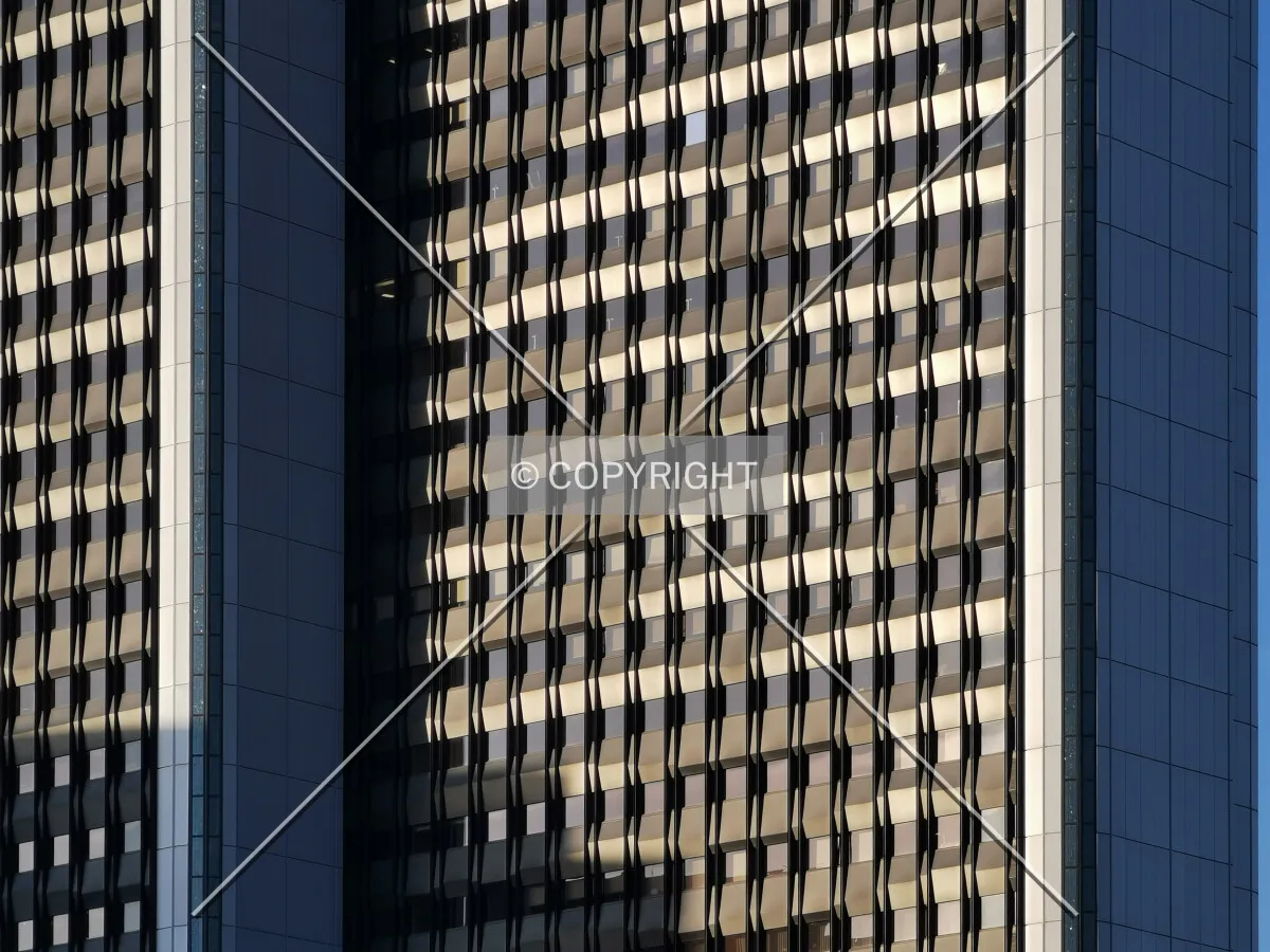 Photo 676-069-959