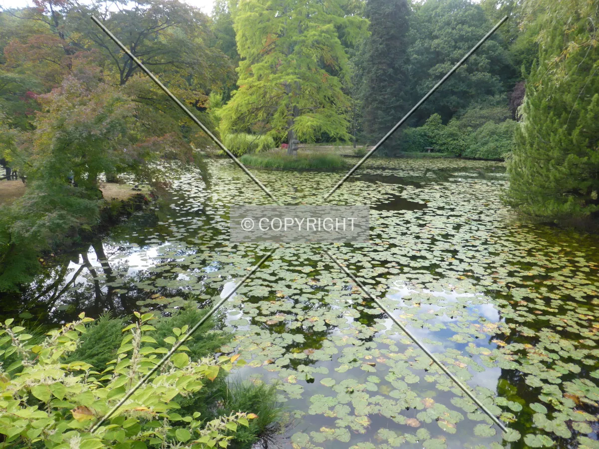 Photo 676-124-628