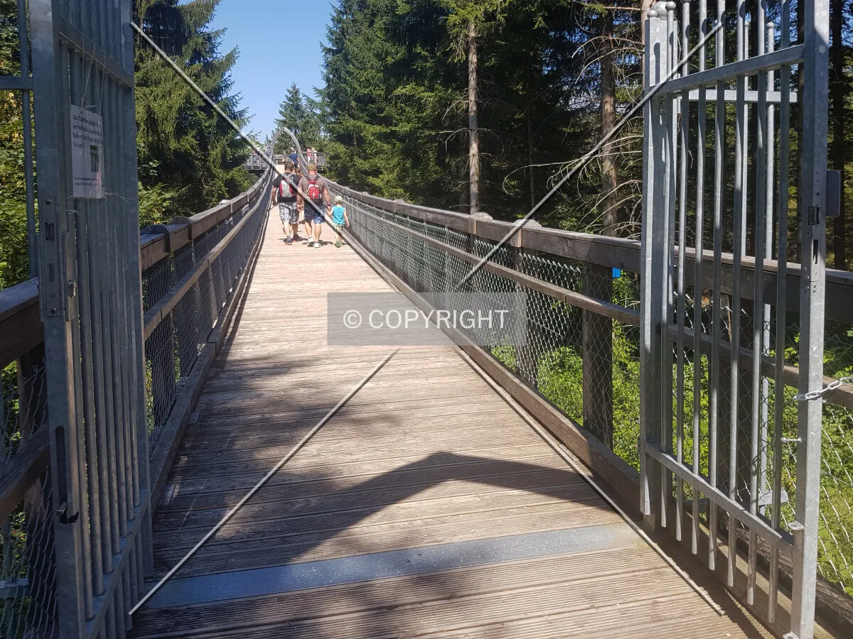 Photo 676-391-571