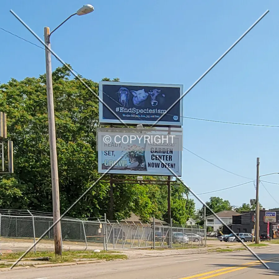 From the southeast; June 12, 2022