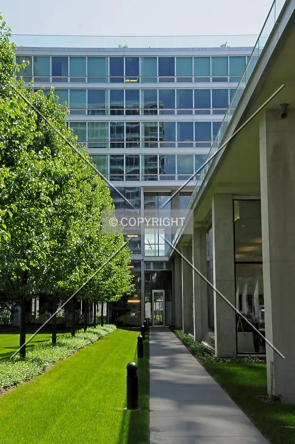 Looking south from the motor court towards the pool and sales office