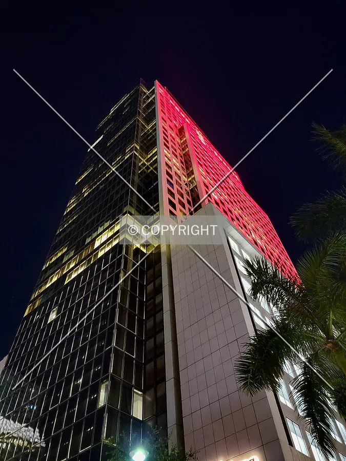 Looking up at night; June 1, 2021