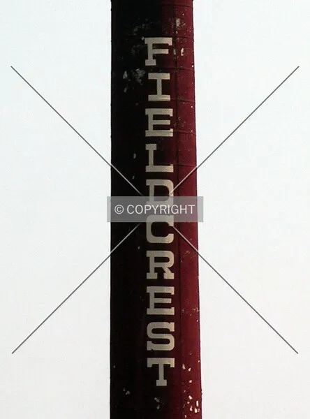 Photo 677-142-353