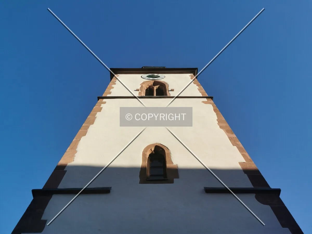 Photo 677-239-382