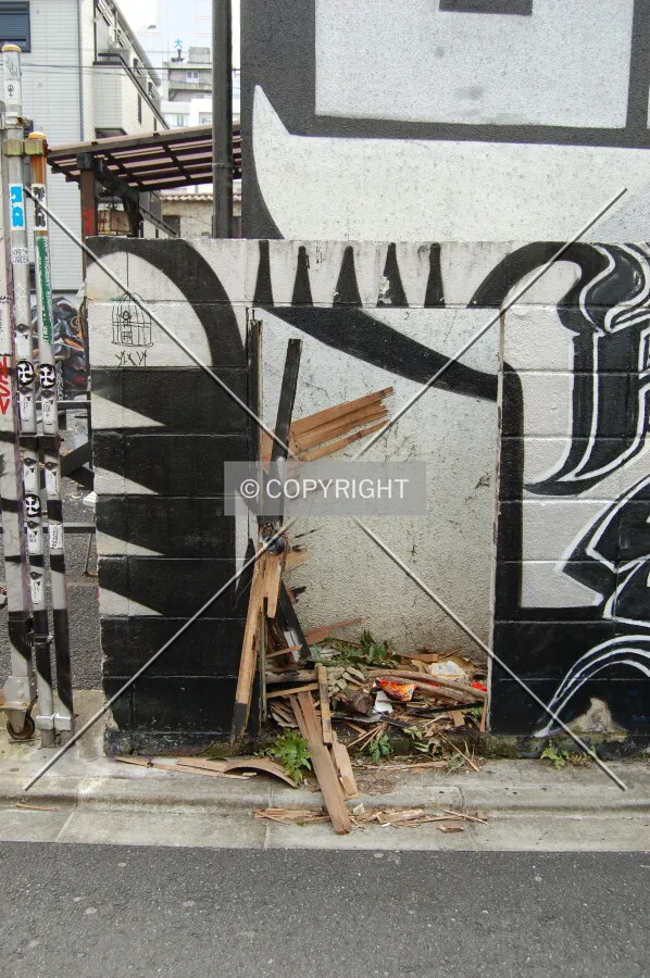 Photo 677-692-358